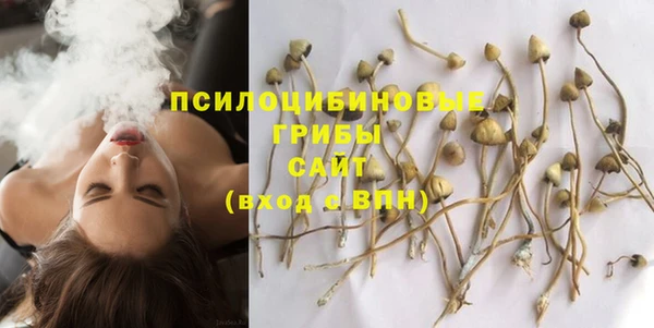 тгк Пересвет