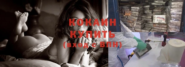 тгк Пересвет