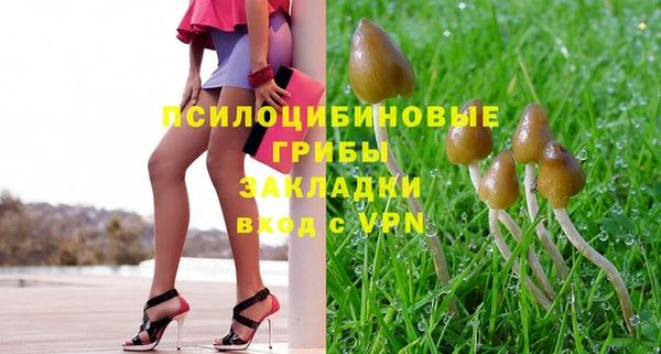 гидропоника Осинники