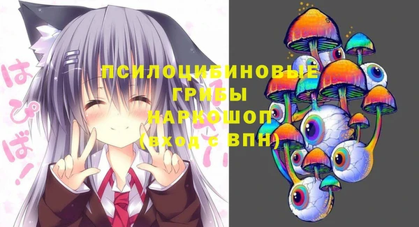 тгк Пересвет