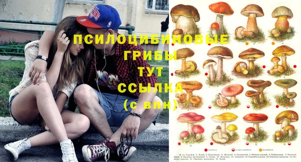 гидропоника Осинники