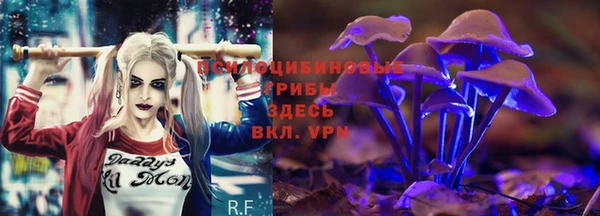 гидропоника Нязепетровск