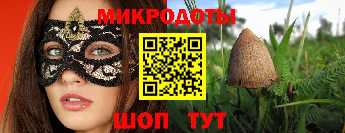 Галлюциногенные грибы мухоморы  Вход с VPN  купить закладку  Заводоуковск 