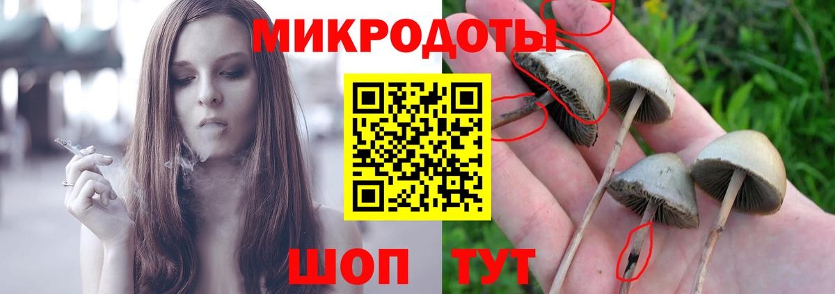 Галлюциногенные грибы MAGIC MUSHROOMS  наркошоп  Заводоуковск 